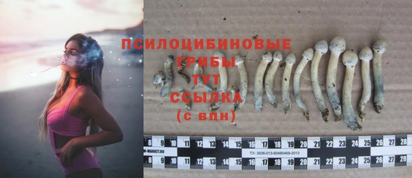 крисы Лиски