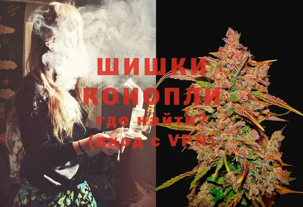 PSILOCYBIN Липки
