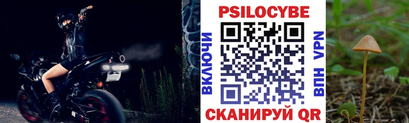 OMG сайт  Невельск  darknet телеграм  Галлюциногенные грибы GOLDEN TEACHER 